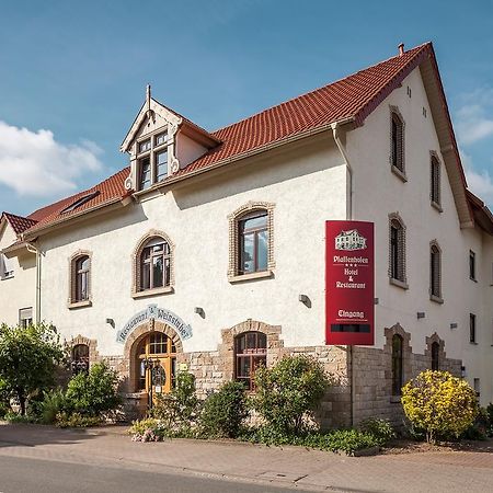 Hotel Pfaffenhofen Schwabenheim an der Selz Eksteriør billede